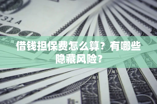 北京借钱担保费怎么算？有哪些隐藏风险？