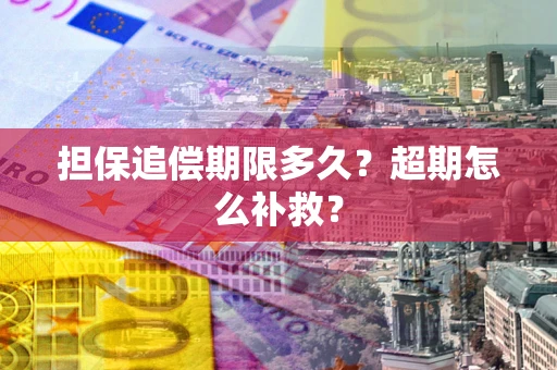北京担保追偿期限多久？超期怎么补救？